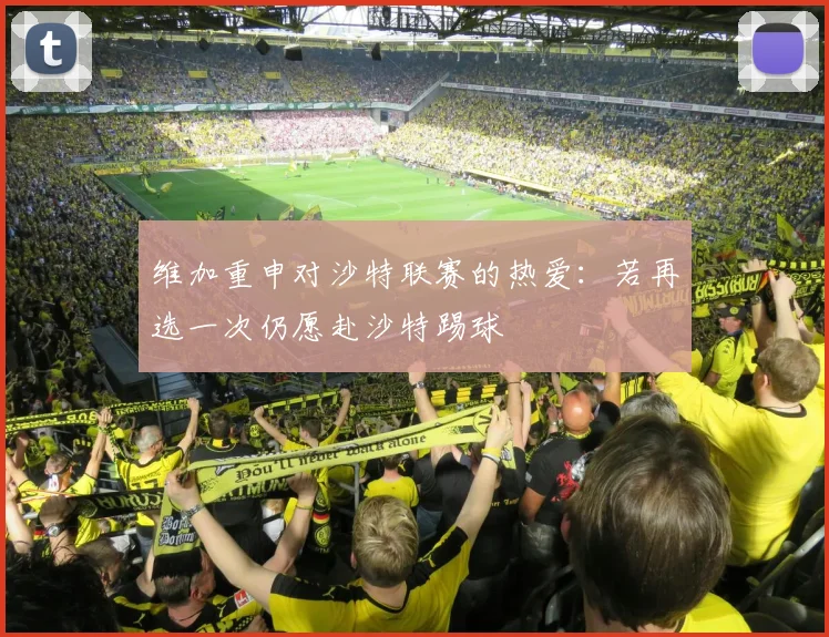 维加重申对沙特联赛的热爱：若再选一次仍愿赴沙特踢球