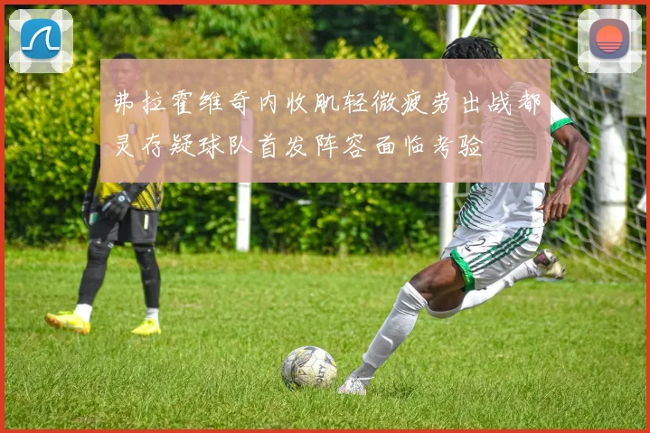 弗拉霍维奇内收肌轻微疲劳出战都灵存疑球队首发阵容面临考验