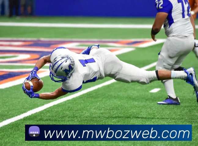 用户互动社区